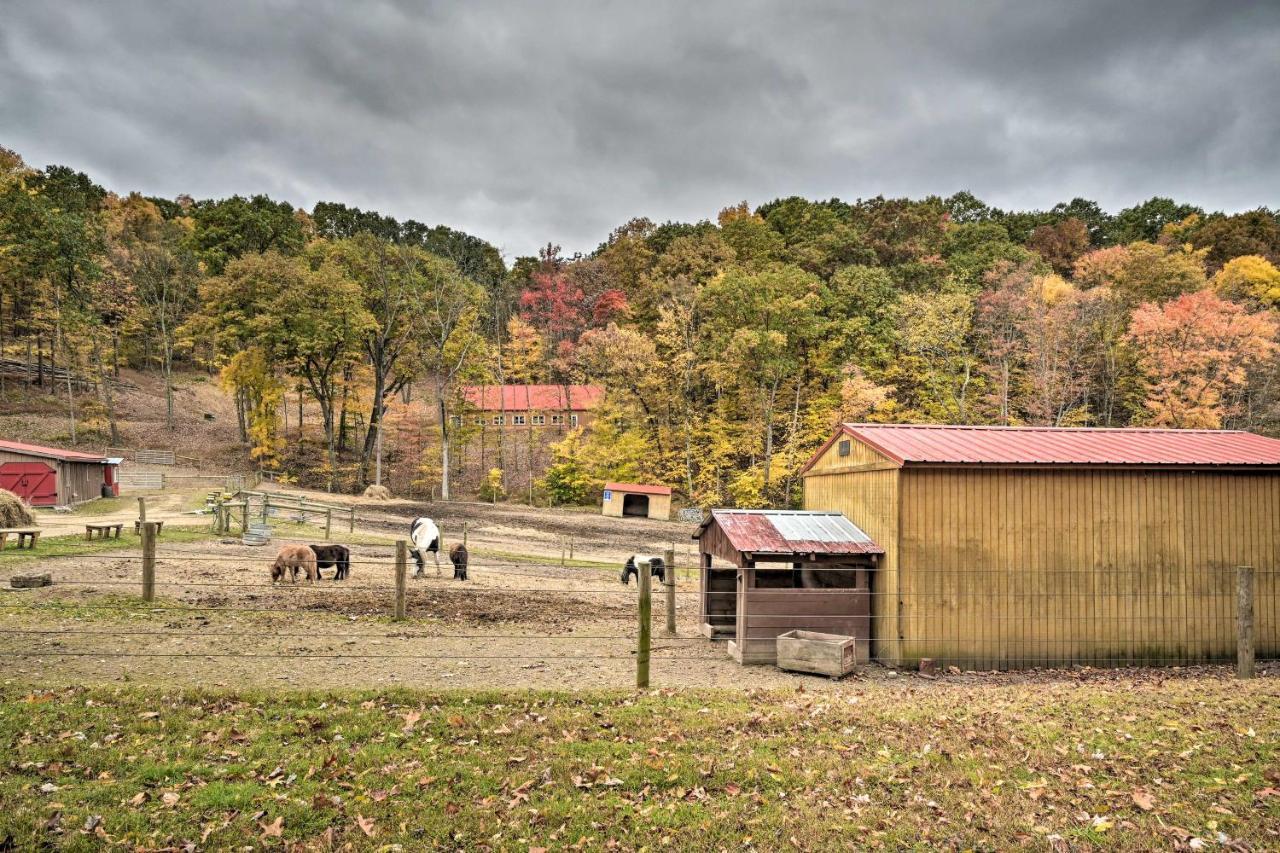 John Wayne Apartment - Deck, Bbq, Horses On-Site Хантингдон Экстерьер фото